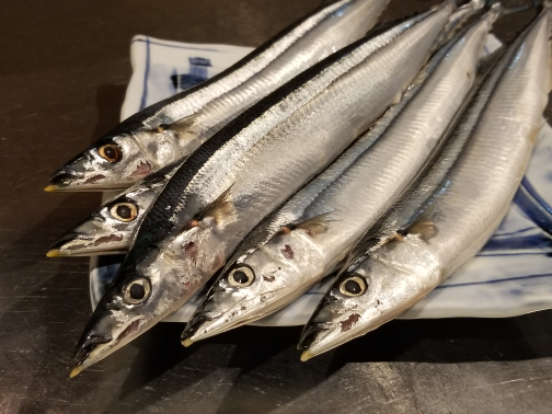新秋刀魚