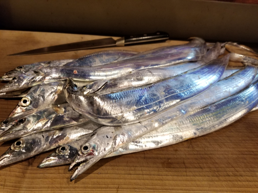 太刀魚