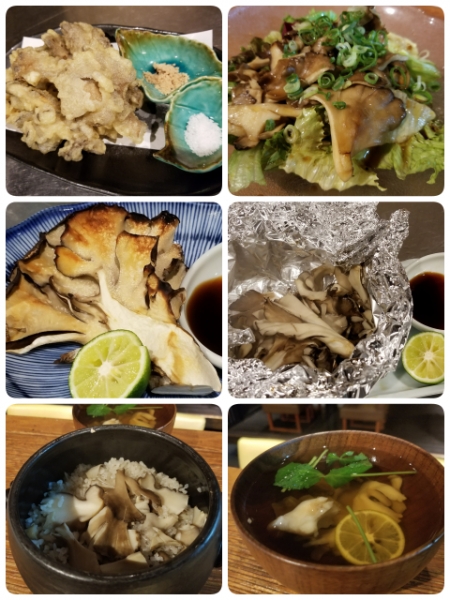 石坂まいたけ