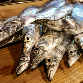 太刀魚
