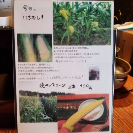 わこう