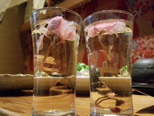 桜コース
