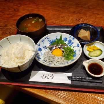 わこう
