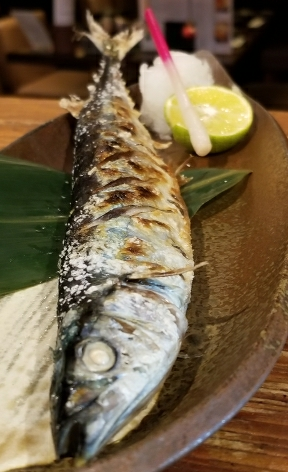 新秋刀魚