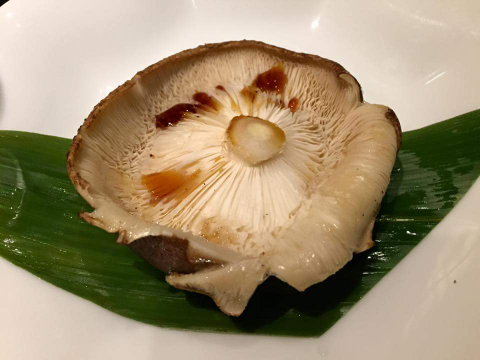 原木