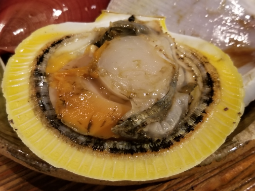月日貝