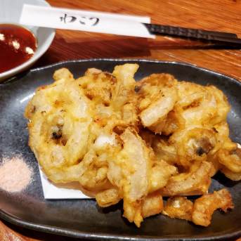 わこう
