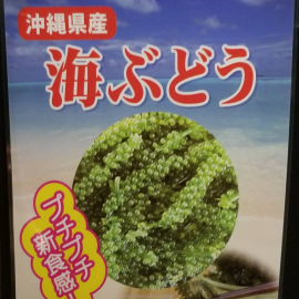 海ぶどう