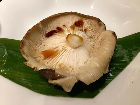 原木椎茸
