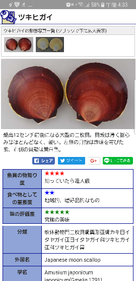 月日貝