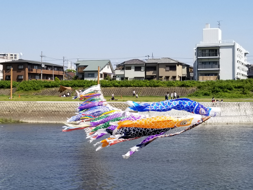 わこう