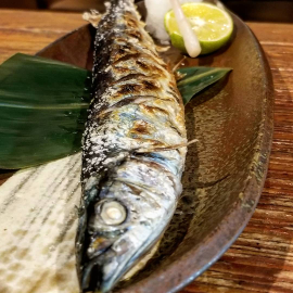 わこう