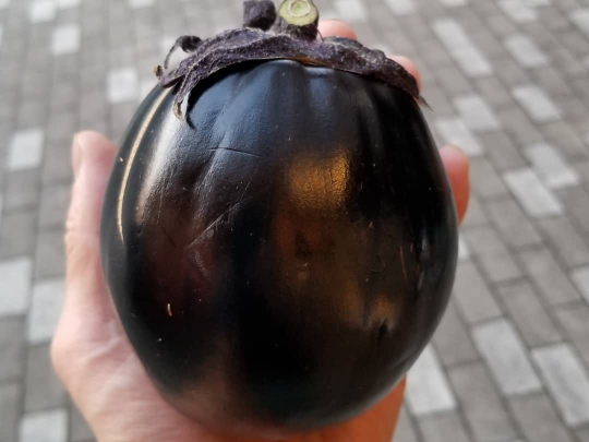 わこう