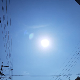 わこう